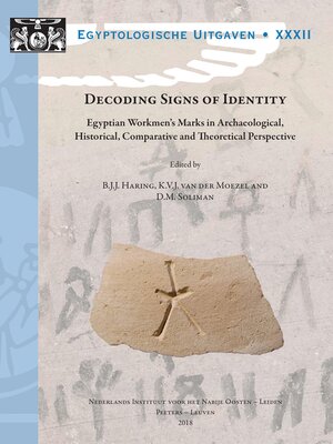 cover image of Decoding Signs of Identity